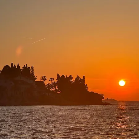 Sunsetia